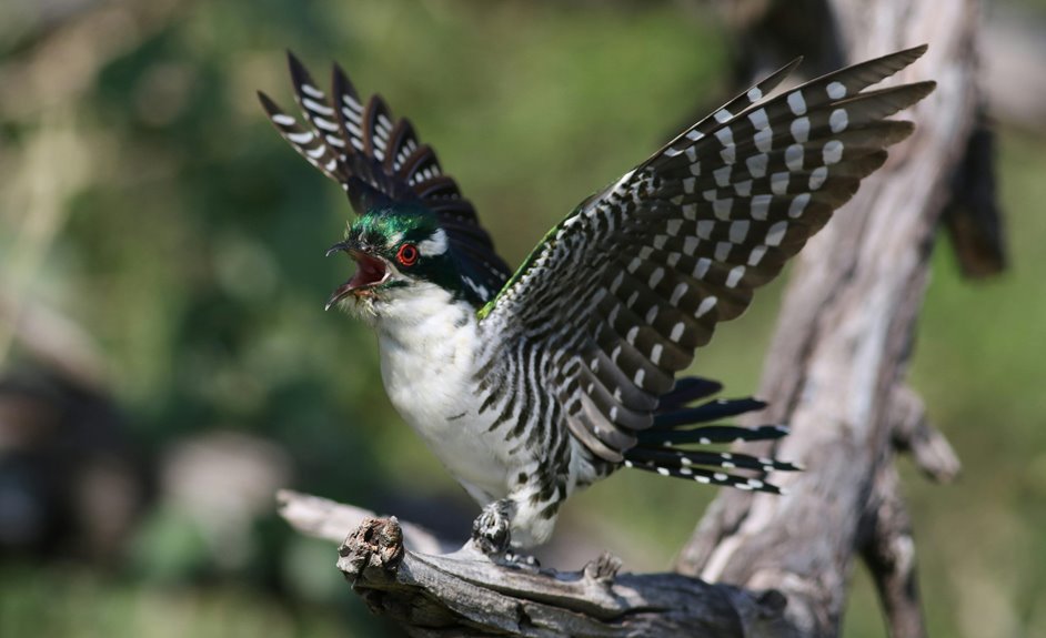 decoding number patterns breakdown